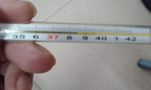 吃什么食物减脂肪最快最有效-权威吃什么食物减脂肪最快最有效平台,分享专业吃什么减脂肪最快最有效知识_什么食物减脂肪网